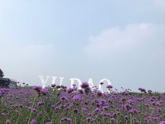 -渔岛海洋度假区