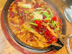 -老板恋上鱼(恒隆广场店)