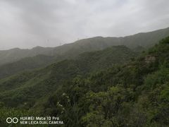 -北京鹫峰国家森林公园