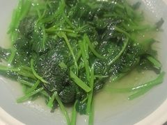 -鸽子窝(青塔店)
