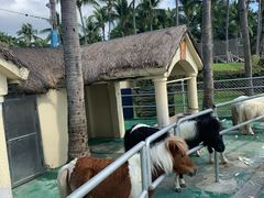 -三亚亚龙湾天域度假酒店