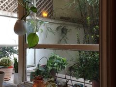 燕庭燕窝下午茶(南京西路店)-燕庭·纯燕窝·甜品下午茶(南京西路店)