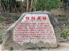 -瑞丽独树成林风景区