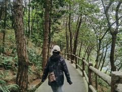 -铁山坪森林公园