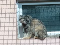 -青藏高原野生动物园