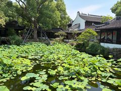 -上海醉白池公园