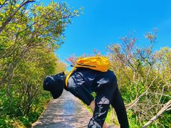 -大围山国家森林公园