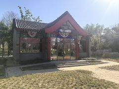 -曹州牡丹园