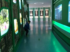 -金钉子远古世界景区