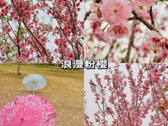 -盈香心动乐园