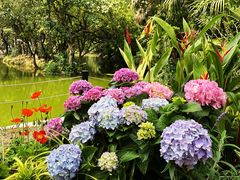 -人民公园(罗湖区)