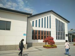 -雁滩公园
