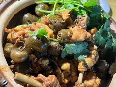 田螺焖鸡-棠记大排档(海珠店)
