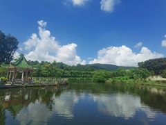 -大屏嶂森林公园