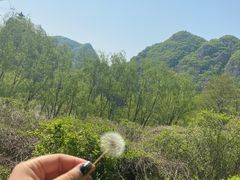 -大连冰峪旅游度假区