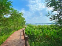 -东湖落雁景区