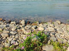 -楠溪江风景名胜区