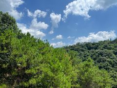 -广州白江湖森林公园