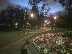 -斐兹洛伊花园