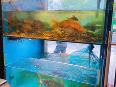 -小钱鱼馆(富春路店)