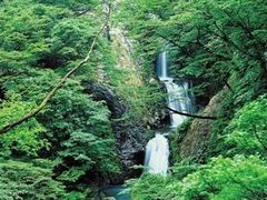 -湖州龙王山景区