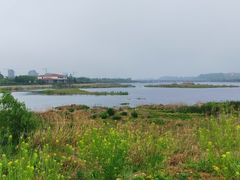 -白鹭湾湿地公园