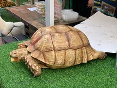 -大悦城(沈阳中街店)