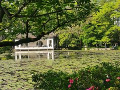 -杭州植物园
