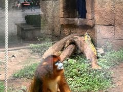 -南昌动物园