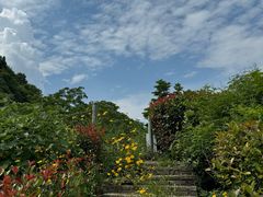 -姚家山旅游风景区