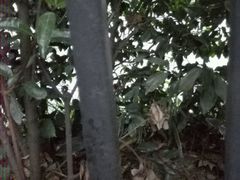 android_upload_pic-佬革命主题火锅(玉沙路店)