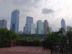 -万绿园