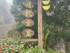 -遂昌金矿国家矿山公园