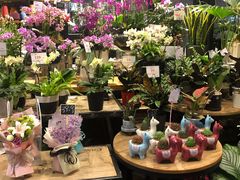 -豆豆花艺(新光天地店)