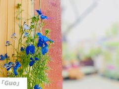 -萤火虫咖啡(后海店)