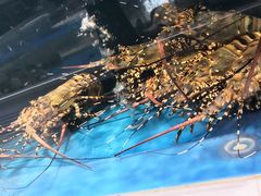 -北塘海鲜·天津菜(大光明桥旗舰店)