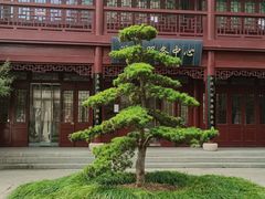 -堤角公园