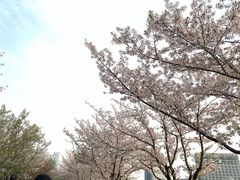 -苏州独墅湖世尊酒店