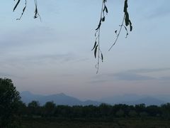 -洨河生态公园