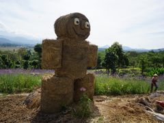 -黄色小屋