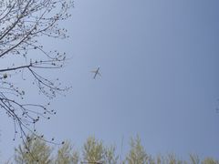 -东郊湿地公园