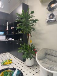 -老男孩男士理容馆·理发·烫染·修面