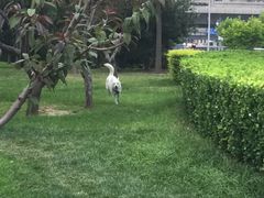 -宠颐生中康贝怡动物医院