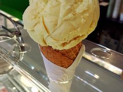 -Dooley's Premium Ice Cream