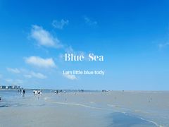 -南汇新城海滩