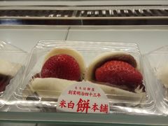 -影汇之星8字形摩天轮