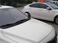 -杨记烧牛杂(蜀汉北街店)