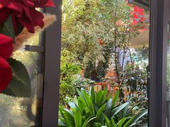 -海韵人家.海景花园经典云南菜(双廊店)