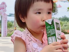 -都江堰玫瑰花溪谷