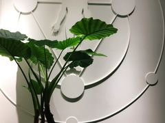 大堂-常乐·对症推拿(来福士第43分店)